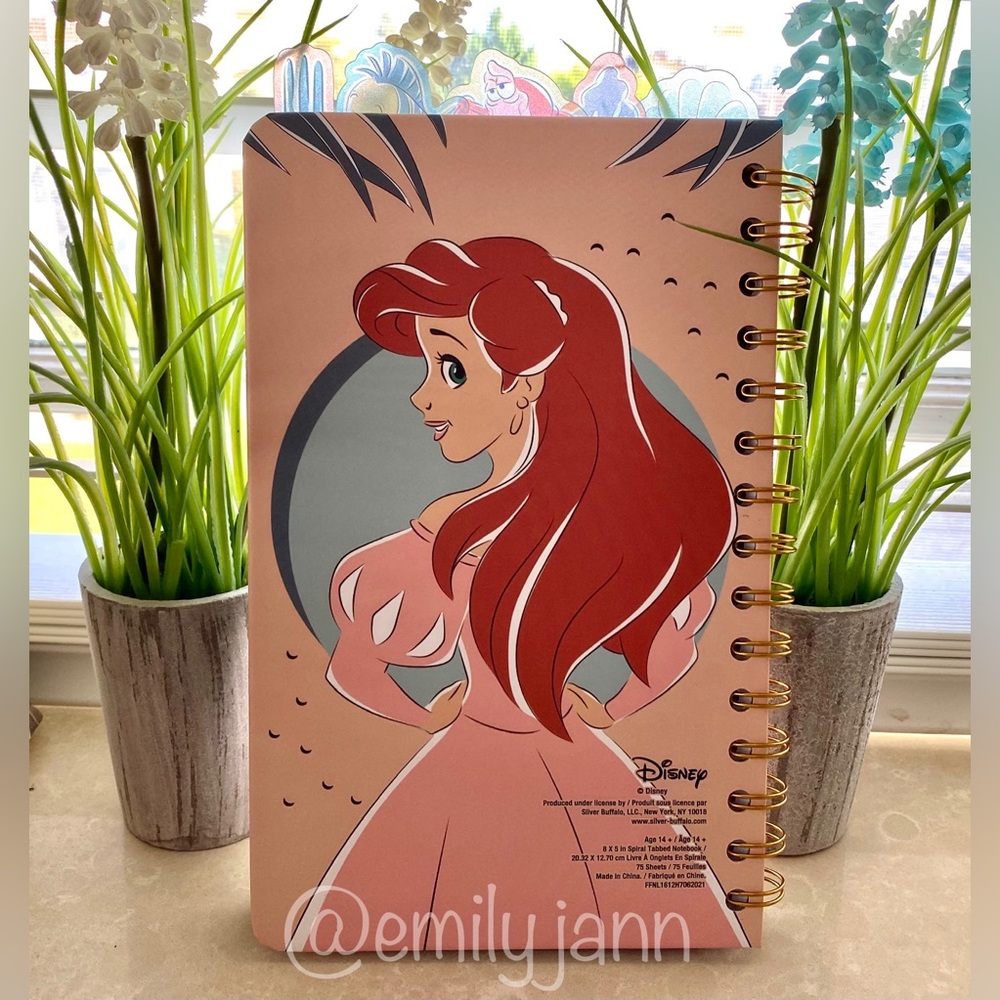 The Little Mermaid✨Journal